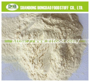 Dehydrated, Dried, Dry Garlic Granule, Garlic Powder