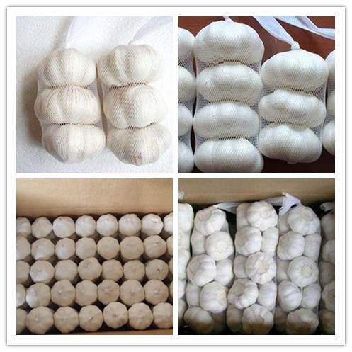 2018 New Crop Pure/Normal White Fresh Garlic