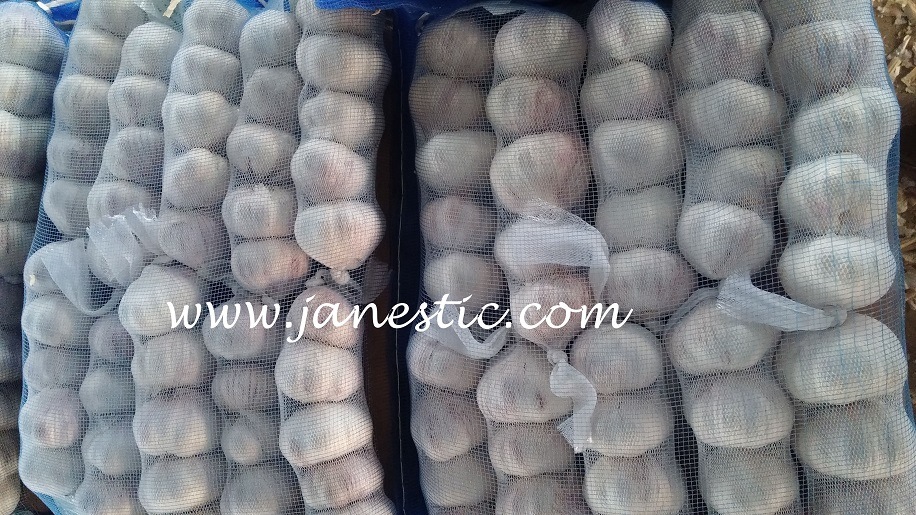 2018 New Crop Pure/Normal White Fresh Garlic