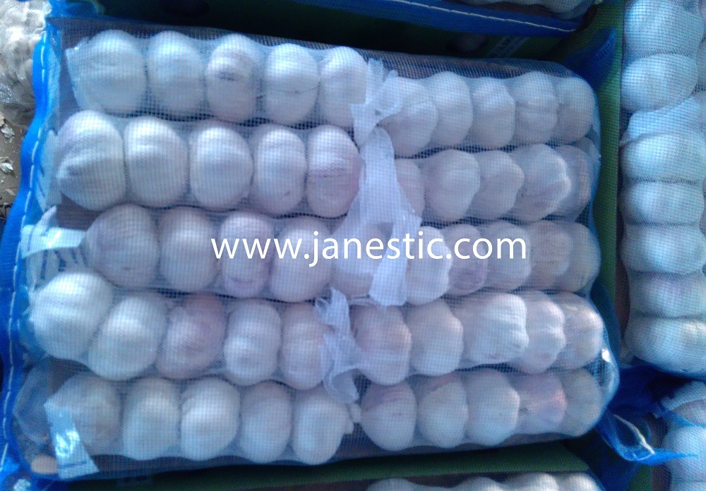 2018 New Crop Pure/Normal White Fresh Garlic