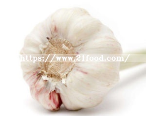 2018 New Crop Pure/Normal White Fresh Garlic