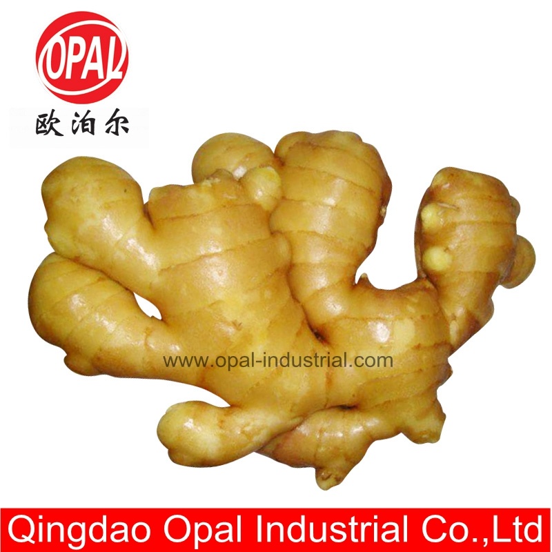 Ginger Exporters in China