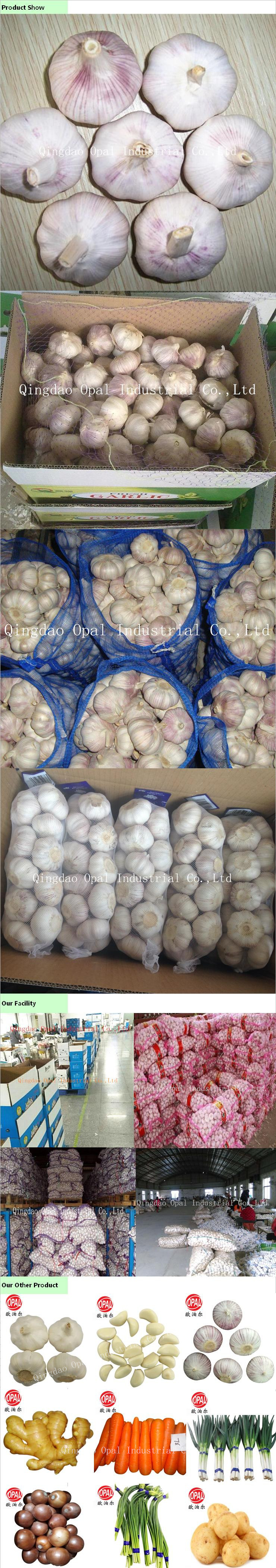 Mesh Bag Packing 4.5cm 5. Cm Red Normal White Fresh Garlic