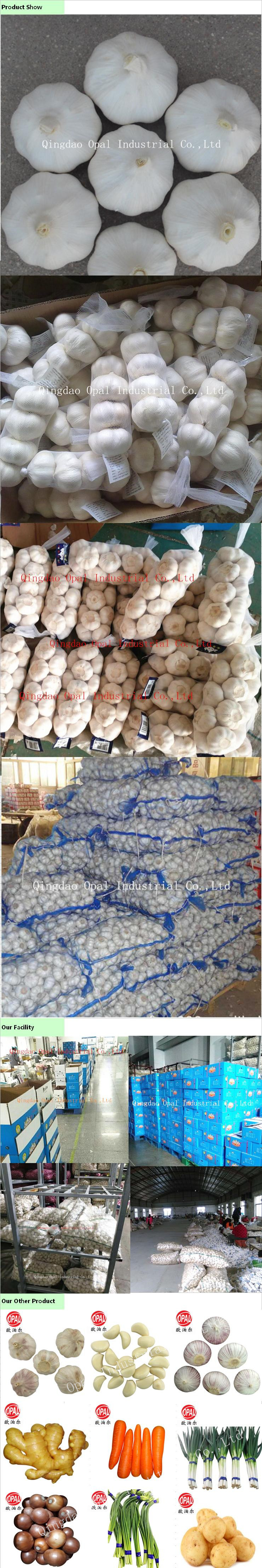 2018 China Normal Pure White Red Purple Fresh Garlic