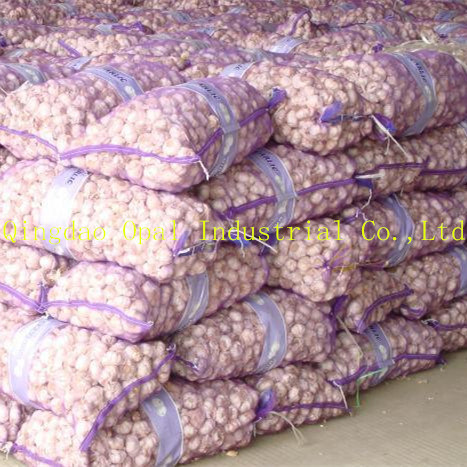 Fresh Red Purple Skin Normal White Garlic