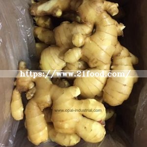 Ginger Exporters in China