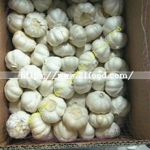 Export Standard Quality Carton Mesh Bag Fresh Pure/Normal Snow White Garlic