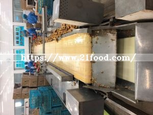 Factory Low Ginger Price of Yellow Fresh Vegetable Fresh Ginger Dry Dried Ginger