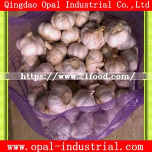 Mesh Bag Packing 4.5cm 5. Cm Red Normal White Fresh Garlic