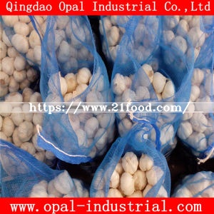 Mesh Bag Packing 4.5cm 5. Cm Red Normal White Fresh Garlic
