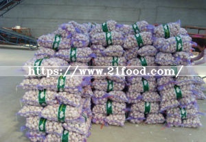 2018 China Normal Pure White Red Purple Fresh Garlic