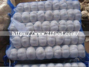 2018 China Normal Pure White Red Purple Fresh Garlic