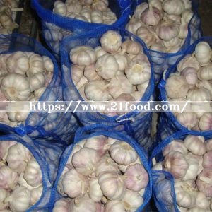 Fresh Red Purple Skin Normal White Garlic
