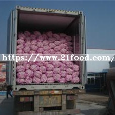 Fresh Red Purple Skin Normal White Garlic
