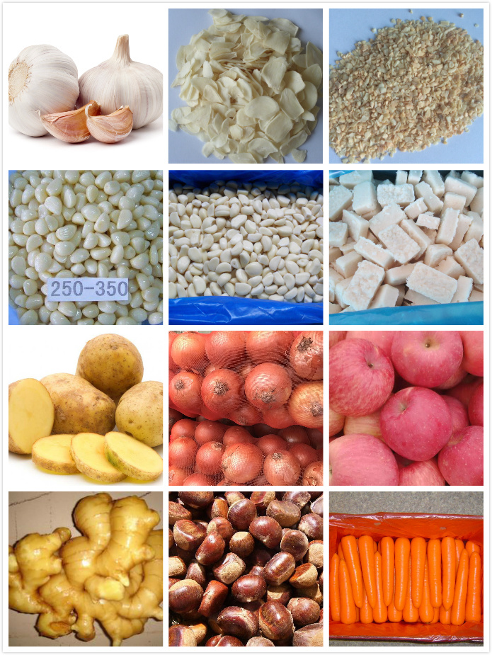New Crop Fresh Ginger for EU Market