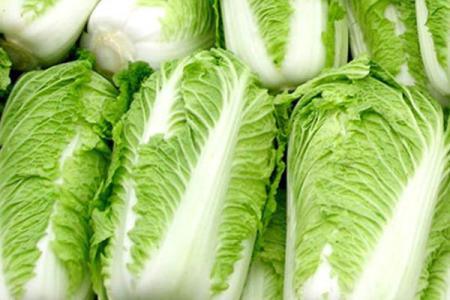 New Crop Fresh Cabbage for Exporting (1.5kg)