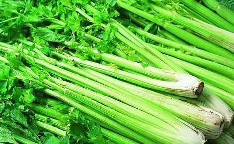 100% Competitive Fresh Celery (750g)
