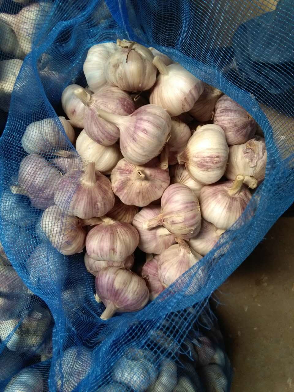 Size 5.0cm in 6kg Mesh Bag Packing Fresh Normal White Garlic