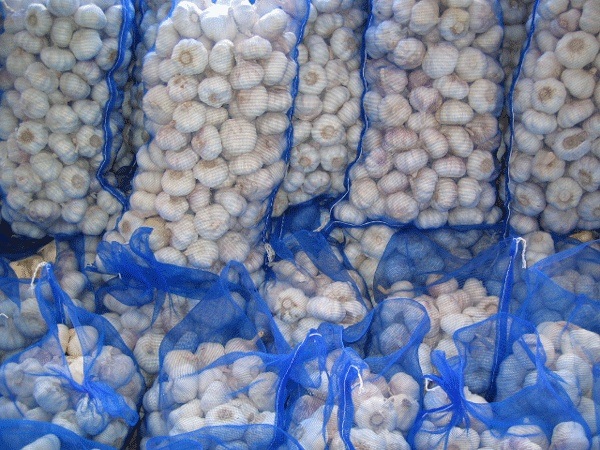 Size 5.0cm in 6kg Mesh Bag Packing Fresh Normal White Garlic