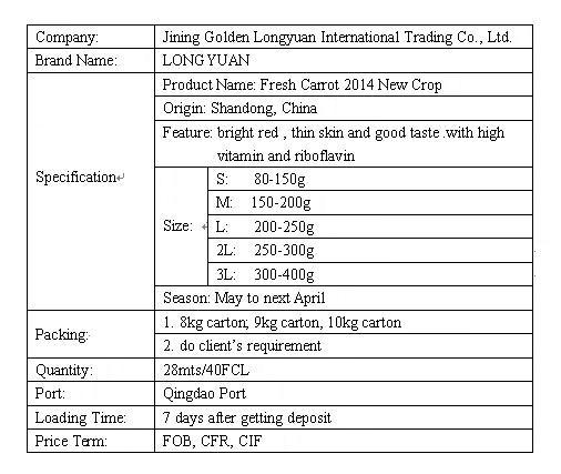 Fresh Carrot New Crop From Shandong