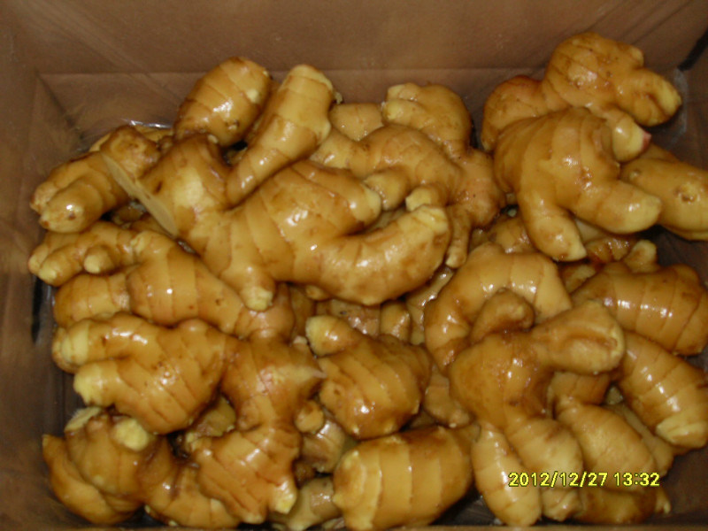 150gram Ginger in Mesh Bag