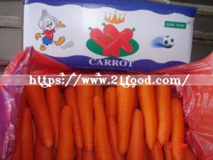 New Crop Fresh Carrot with Beautiful Color