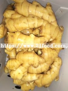 Fresh or Dry Ginger with Good Price