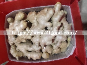 Air Dry Ginger From China