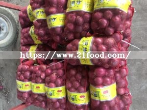 New Crop Fresh Red Onion with Good Shape