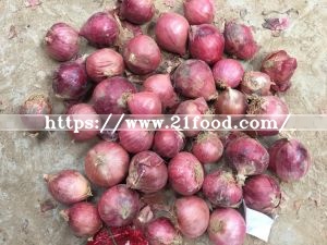 New Crop Fresh Red Onion with Good Shape