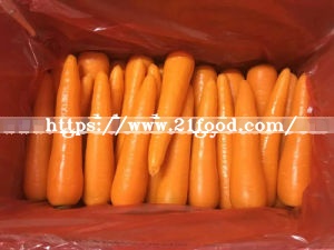 2016 New Crop Carrot From Shandong