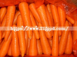 2016 New Crop Carrot From Shandong