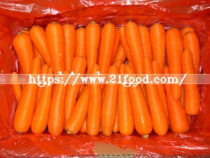 2016 New Crop Carrot From Shandong