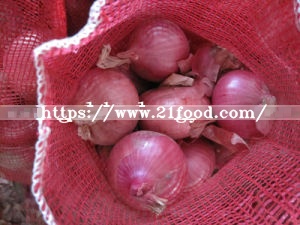 Top Quality Cheaper Price Fresh Red Onion