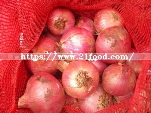Top Quality Cheaper Price Fresh Red Onion