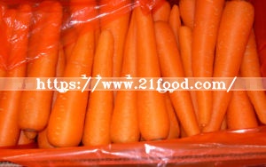 Fresh Carrot New Crop From Shandong