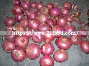 Top Quality Fresh Red Onion
