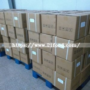 Direct Supplier Bulk Spices White Onion Powder
