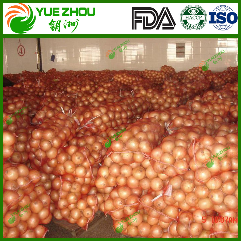Top Quality Fresh Onion New Crop Yellow Onion From Shandong for Sale