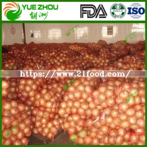Large Quantity of Fresh Onion New Crop Big Yellow Onion From Shandong China
