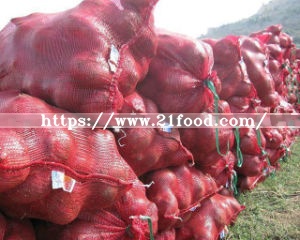 Natural Fresh Red Onions for Sale at Low Market Price