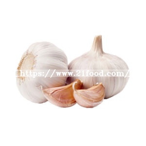 Factory Direct Supply China Low Price Best Garlic
