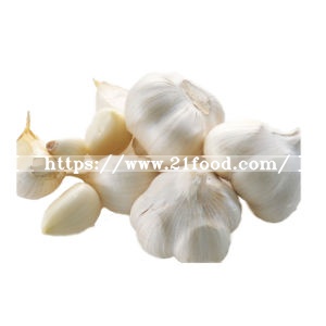 High Quality Factory Cheap Price Normal Fresh White Garlic