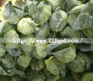 Fresh Green Cabbage From China