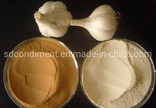 Garlic Powder with The Certification You Want