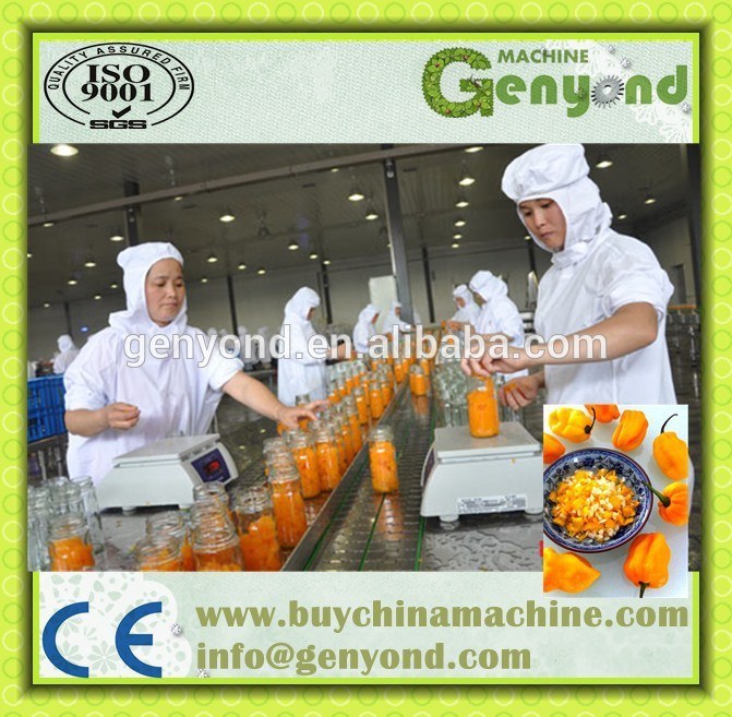 Full Automatic Pepper Sauce Production Line with High Configuration