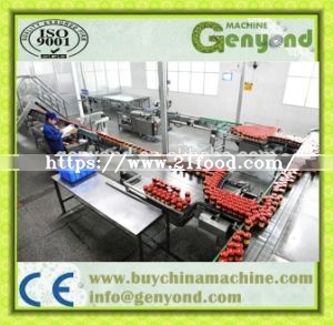 Full Automatic Pepper Sauce Production Line with High Configuration