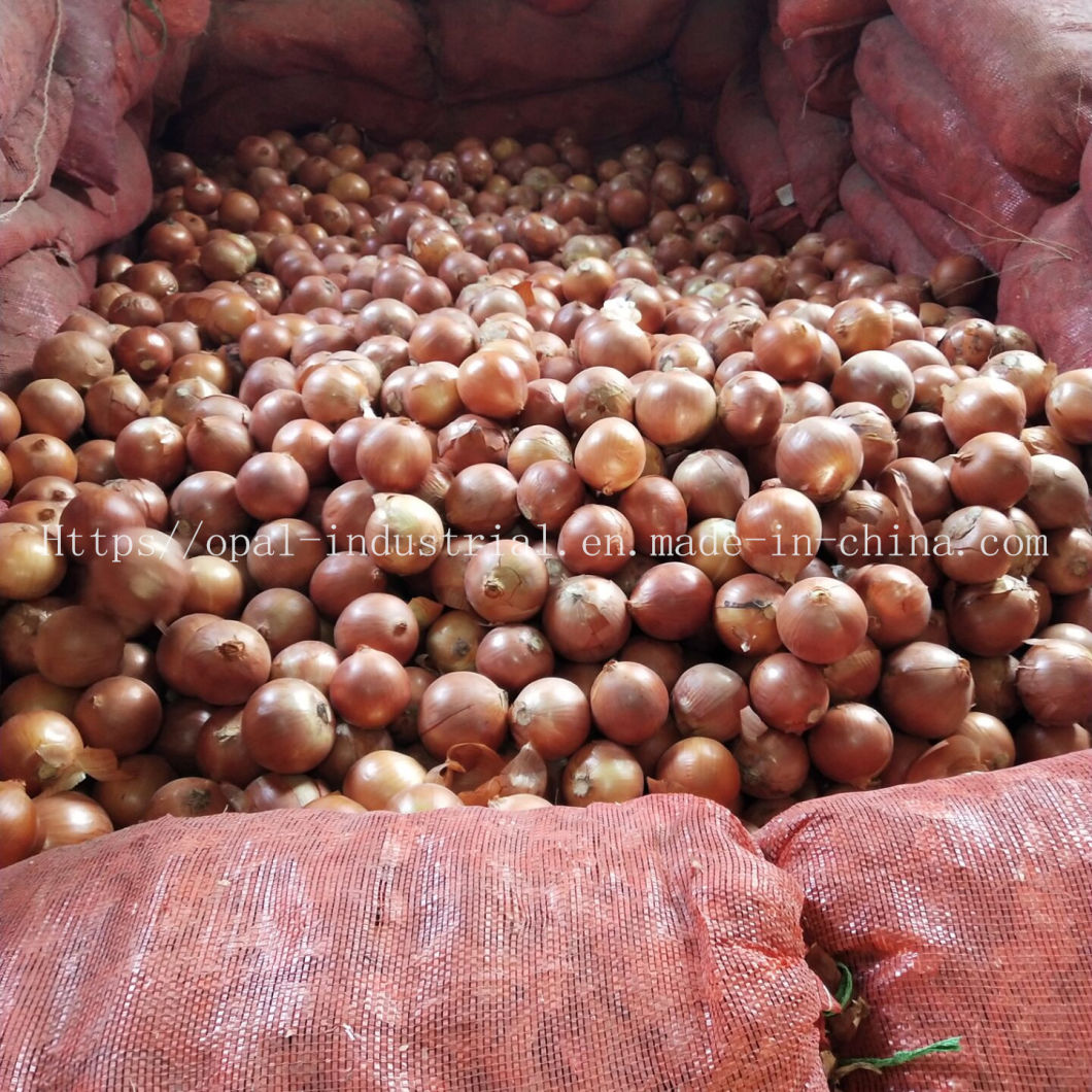 New Crop Yunnan Original Fresh Yellow Onion