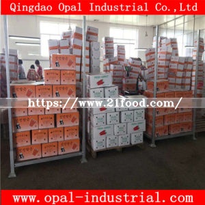 Export Middle East High Quality Chinese Fresh Yellow Red Orange Carrot