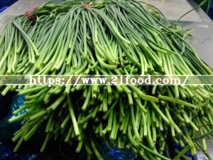 Export to Auckland Fresh Garlic Sprout Bolt Stem Shoot Garlic Bolt Garlic